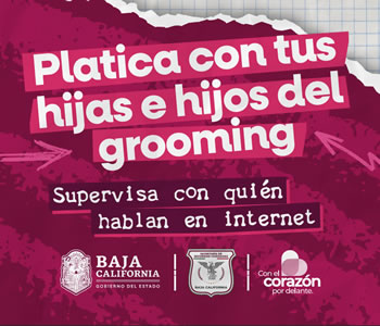 Ayuntamiento Grooming