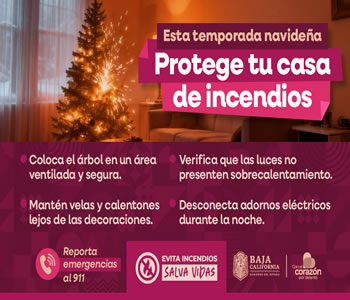 Temporada Navidena 2025